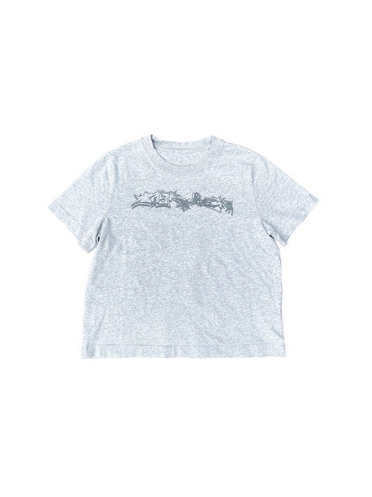 fave graphic tee (1of1)